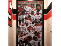 vinyl door graphic